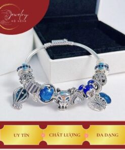 charm mệnh thủy