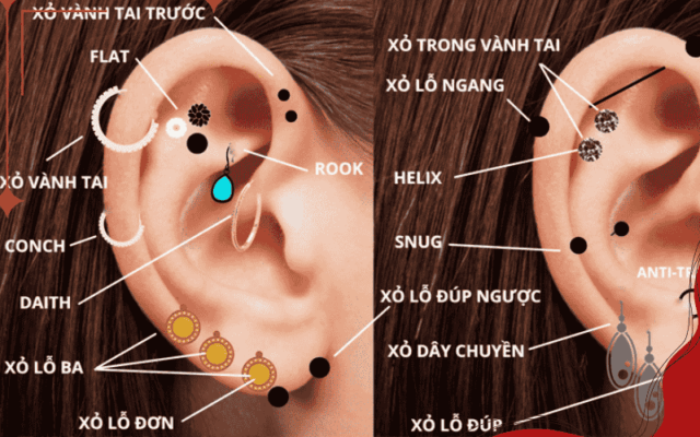 Xỏ khuyên tai